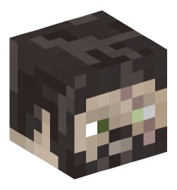 Minecraft head — People