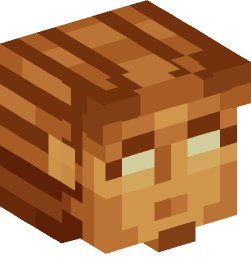 Minecraft head — Decor