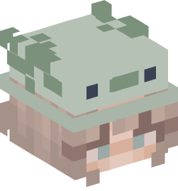 Minecraft head — People