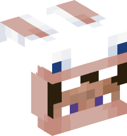 Minecraft head — People