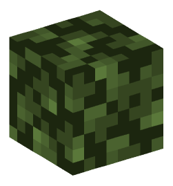 Minecraft head — Plants