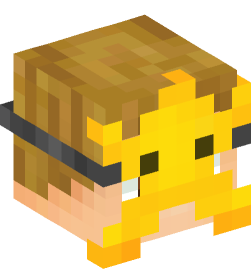 Minecraft head — People