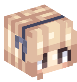 Minecraft head — People