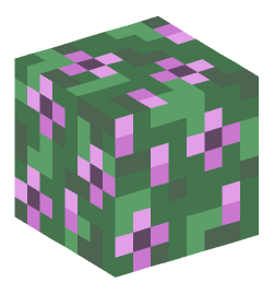 Minecraft head — Plants