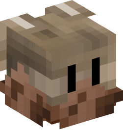 Minecraft head — Decor