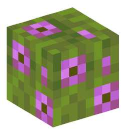 Minecraft head — Plants