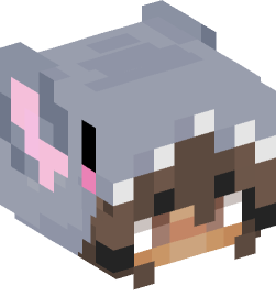 Minecraft head — People