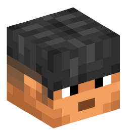 Minecraft head — People