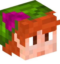 Minecraft head — People