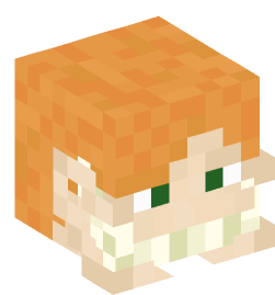 Minecraft head — People