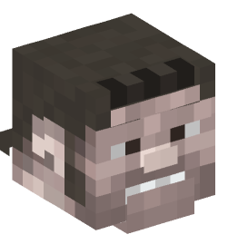 Minecraft head — People