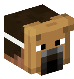 Minecraft head — People