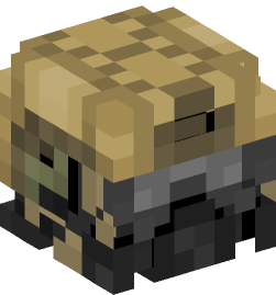 Minecraft head — People