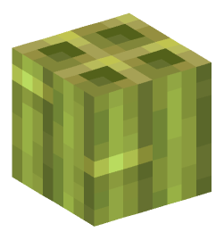 Minecraft head — Blocks