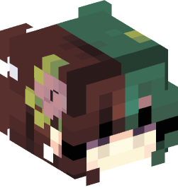 Minecraft head — People