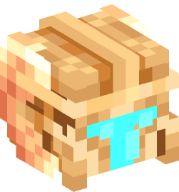 Minecraft head — People