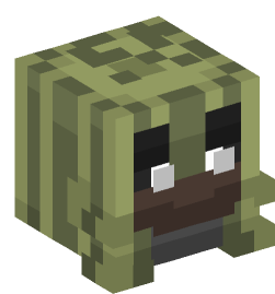 Minecraft head — Decor