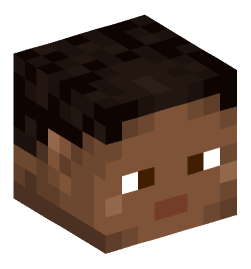 Minecraft head — People