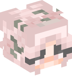 Minecraft head — People