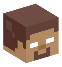 Minecraft head — Miscellaneous