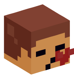 Minecraft head — Miscellaneous