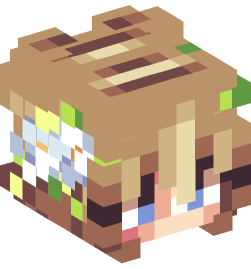 Minecraft head — People