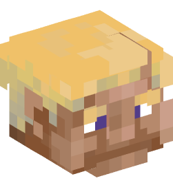 Minecraft head — People