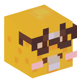 Minecraft head — Miscellaneous