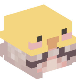 Minecraft head — People