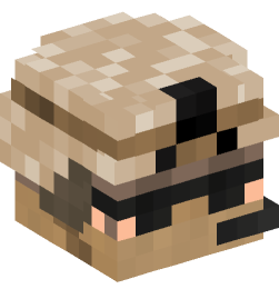 Minecraft head — People