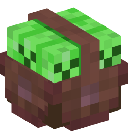 Minecraft head — Decor