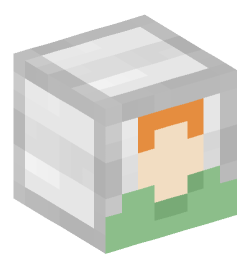 Minecraft head — Miscellaneous