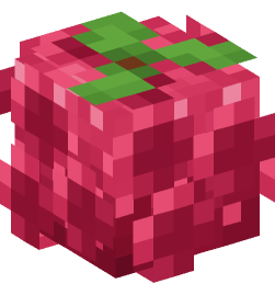 Minecraft head — Plants