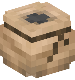 Minecraft head — Decor