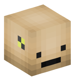 Minecraft head — Decor