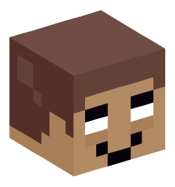 Minecraft head — Miscellaneous