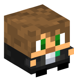 Minecraft head — Decor