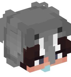 Minecraft head — People