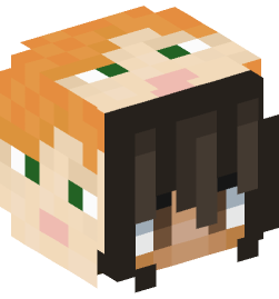 Minecraft head — People