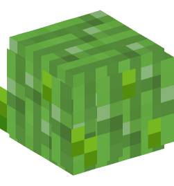 Minecraft head — Plants