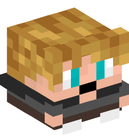 Minecraft head — Decor