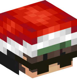 Minecraft head — People