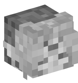 Minecraft head — Decor