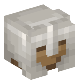 Minecraft head — Decor