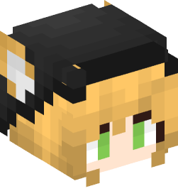 Minecraft head — People