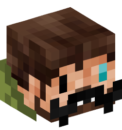 Minecraft head — People