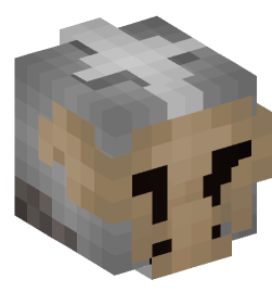 Minecraft head — People