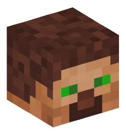 Minecraft head — People