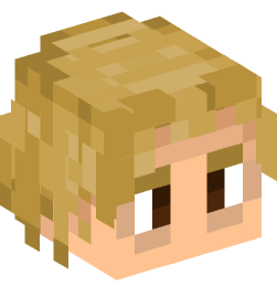 Minecraft head — People