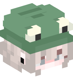 Minecraft head — People